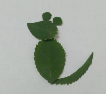 小老鼠树叶贴画制作方法 小老鼠树叶贴画制作方法