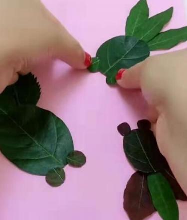 金鱼树叶贴画的制作步骤 金鱼树叶贴画的制作步骤